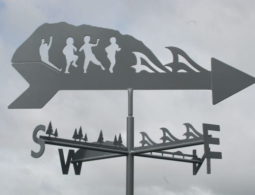 Custom Made Weathervane for Lake Cathie Public School