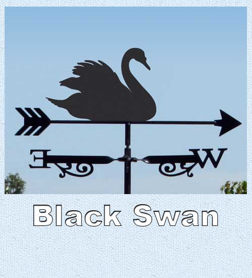 Weathervane for sale featuring Australian native bird the Black Swan