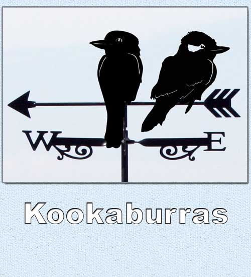 Two Australian Kookaburras perching on the weathervane arrow