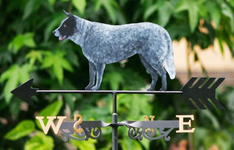 Australian Blue Heeler custom weathervane. Custom made stainless steel weathervane featuring an Australian Blue Heeler dog hand painted finish.