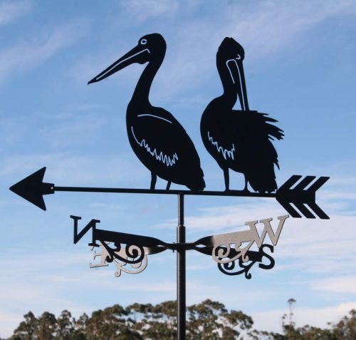 Australian Native Fauna