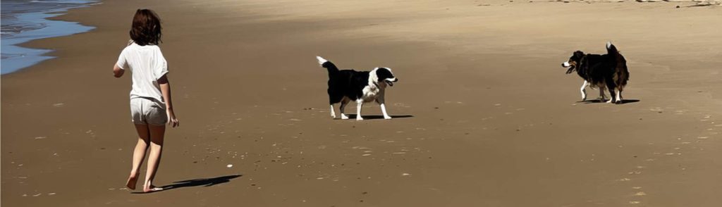 Little girl with her two Border Collie dogs on the beach