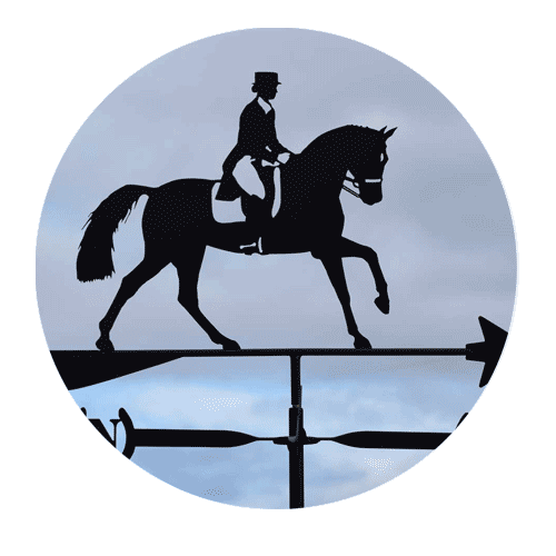 Dressage-Horse Dressage-Horse