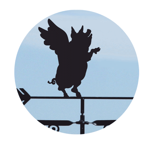 Pigs-Might-Fly Flying Pig weathervane